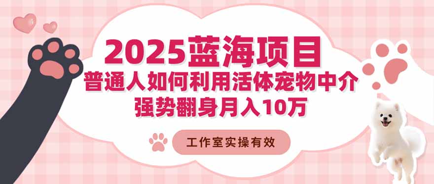 2025蓝海项目：普通人如何利用活体宠物中介，强势翻身月入10万-轻创驿站