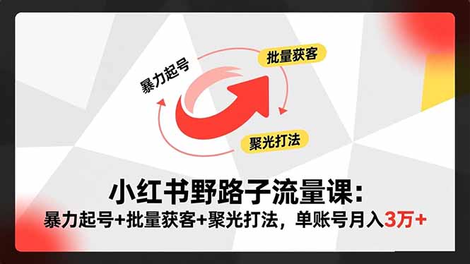 小红书野路子流量课：暴力起号+批量获客+聚光打法，单账号月入3万+-轻创驿站