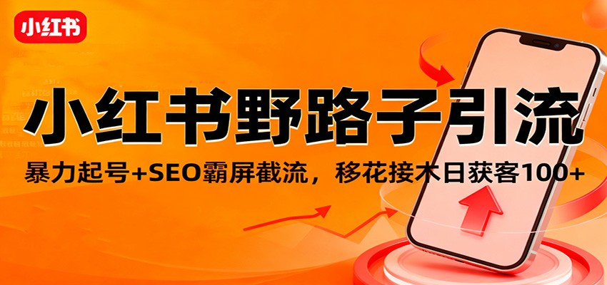 小红书野路子引流，暴力起号+SEO霸屏截流，移花接木日获客100+-轻创驿站