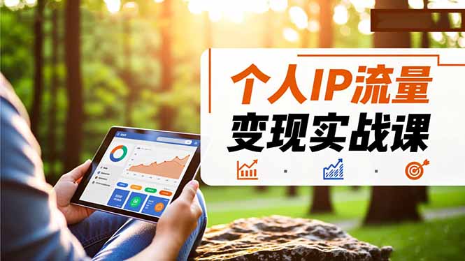 个人IP流量变现实战课，涵盖多平台引流、打造个人IP并实现稳定流量变现-轻创驿站