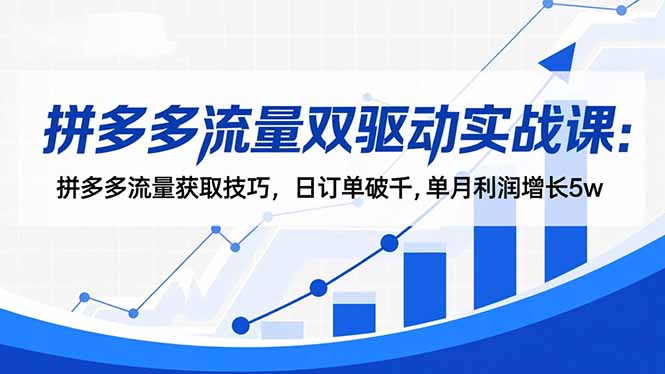 拼多多流量双驱动实战课：拼多多流量获取技巧，日订单破千,单月利润增长5w-轻创驿站