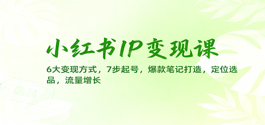 小红书IP变现课：6大变现方式，7步起号，爆款笔记打造，定位选品，流量增长-轻创驿站